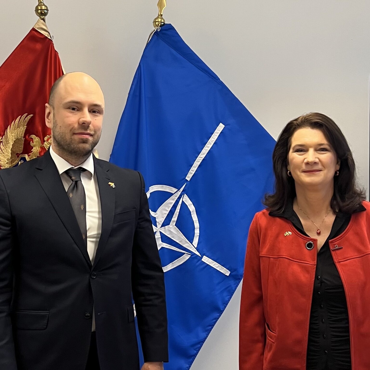 Podrška partnerskih država evropskom putu Crne Gore i u novim geopolitičkim prilikama