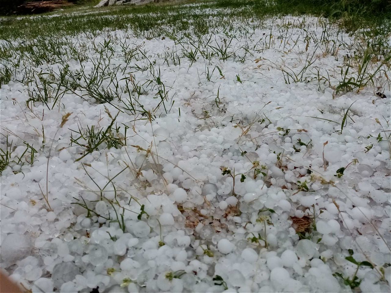 Nevrijeme u Nikšiću: Grad veličine oraha uništio voćnjake i usjeve