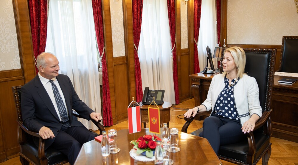 Đurović-Miler: Članstvo Crne Gore u EU značilo bi potvrdu evropskih perspektiva na prostoru Zapadnog Balkana