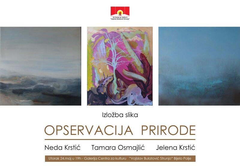 “Opservacija prirode” u galeriji CZK “Vojislav Bulatović Strunjo”