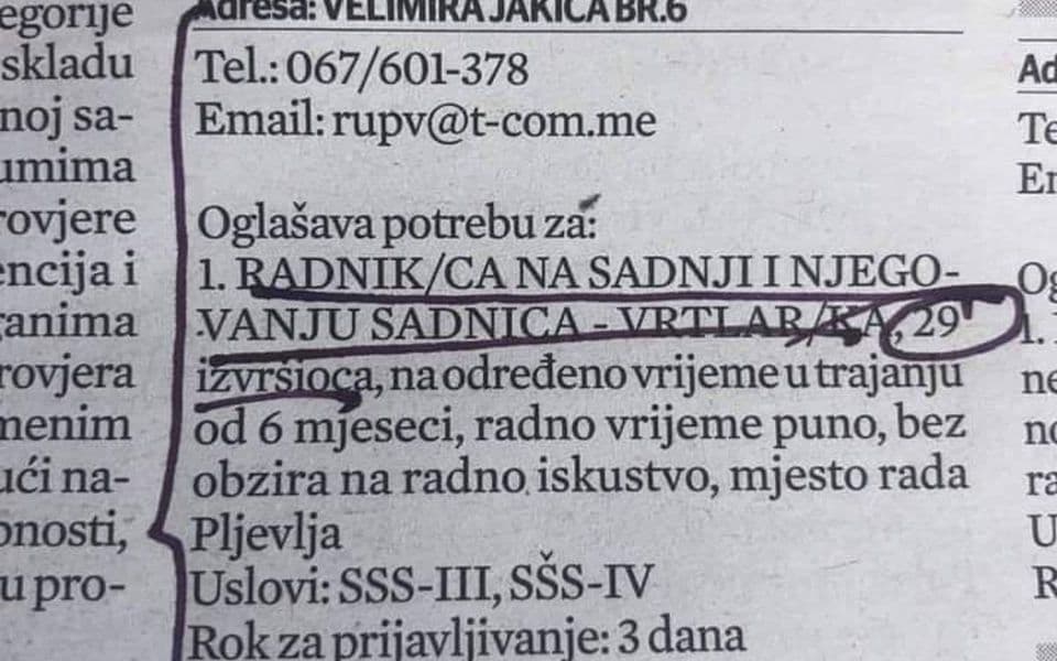 Rudnik uglja Pljevlja raspisao konkurs za 29 vrtlara