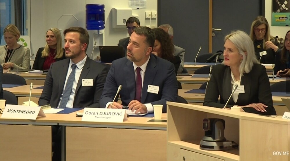 Đurović: Pokrenut novi proces smanjenja cijena rominga između zemalja EU i Zapadnog Balkana
