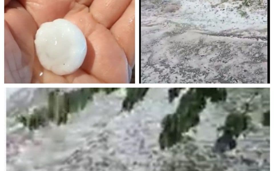 VIDEO: Nevrijeme u Nikšiću, grad uništio bašte i voće