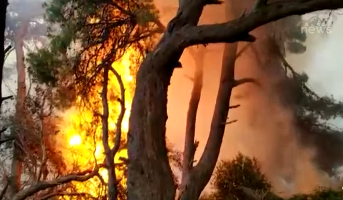 VIDEO: Veliki požar na albanskom ostrvu Sazan, vatra guta sve pred sobom