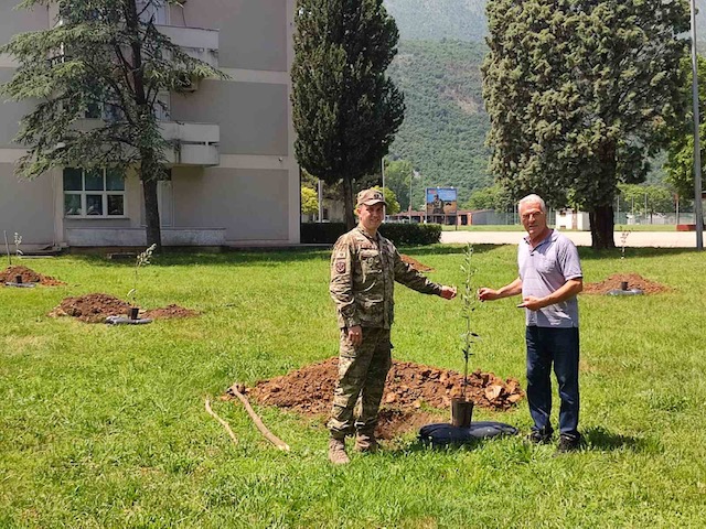 Pripadnici Vojske Crne Gore zasadili masline u čast petogodišnjice članstva u NATO