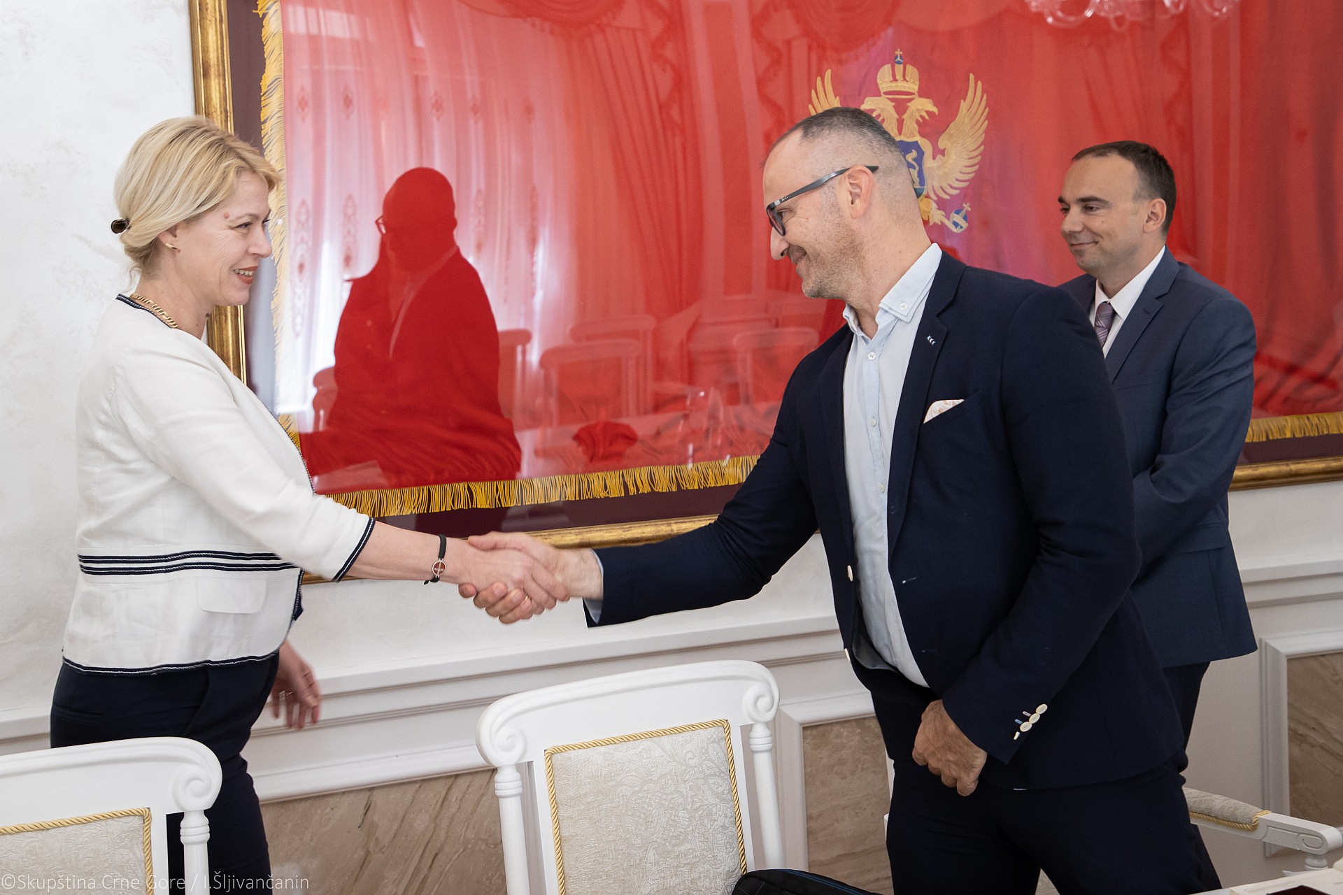 Đurović sa Spasojevićem: Crna Gora prepoznaje zalaganje Međunarodnog republikanskog instituta