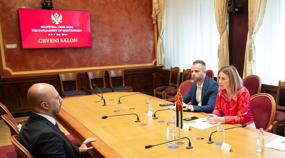 Strujić-Harbić sa Alhantoulijem: Trajni mir i stabilnost na Bliskom istoku mora biti cilj međunarodne zajednice