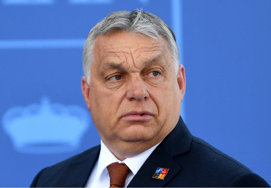 Orban na meti kritika zbog protivljenja miješanju rasa