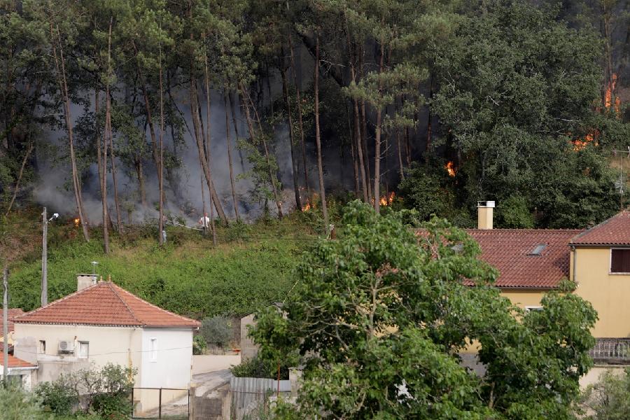 Veliki šumski požari u Portugalu i Španiji