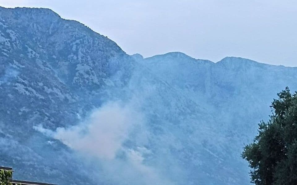 Kotor: Razbuktao se požar na Dražinom vrtu, vatra prišla kućama