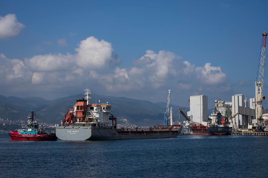 Iz Ukrajine za sedam dana otpremljeno 305.000 tona žitarica