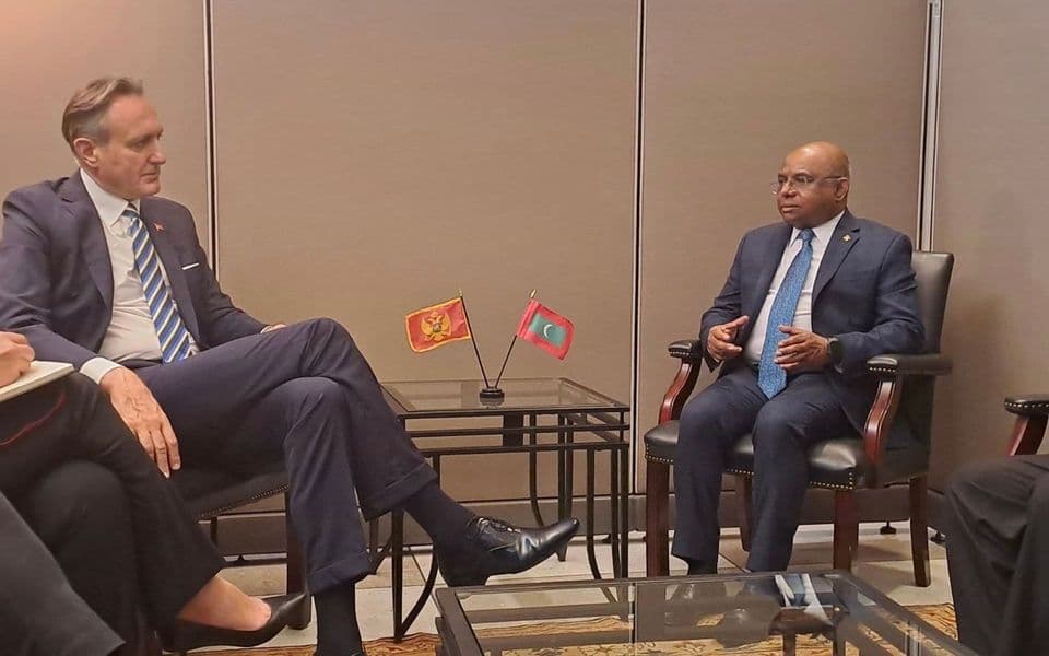 Krivokapić sa Šahidom: Geopolitička scena značajno poljuljana, to je posebna prijetnja malim državama