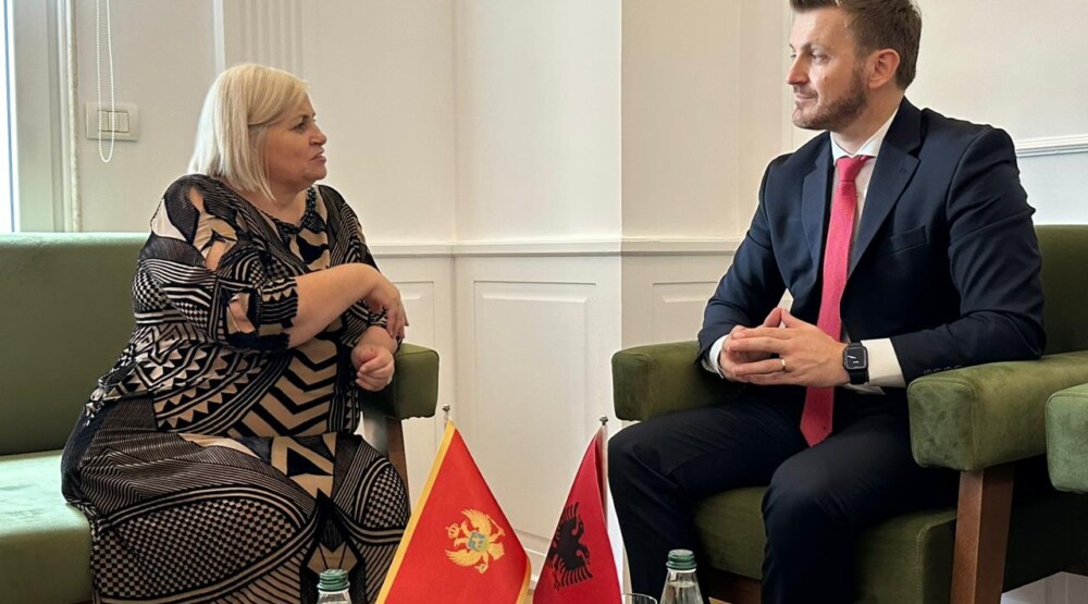 Dukaj u Albaniji: Digitalni razvoj i međudržavna saradnja