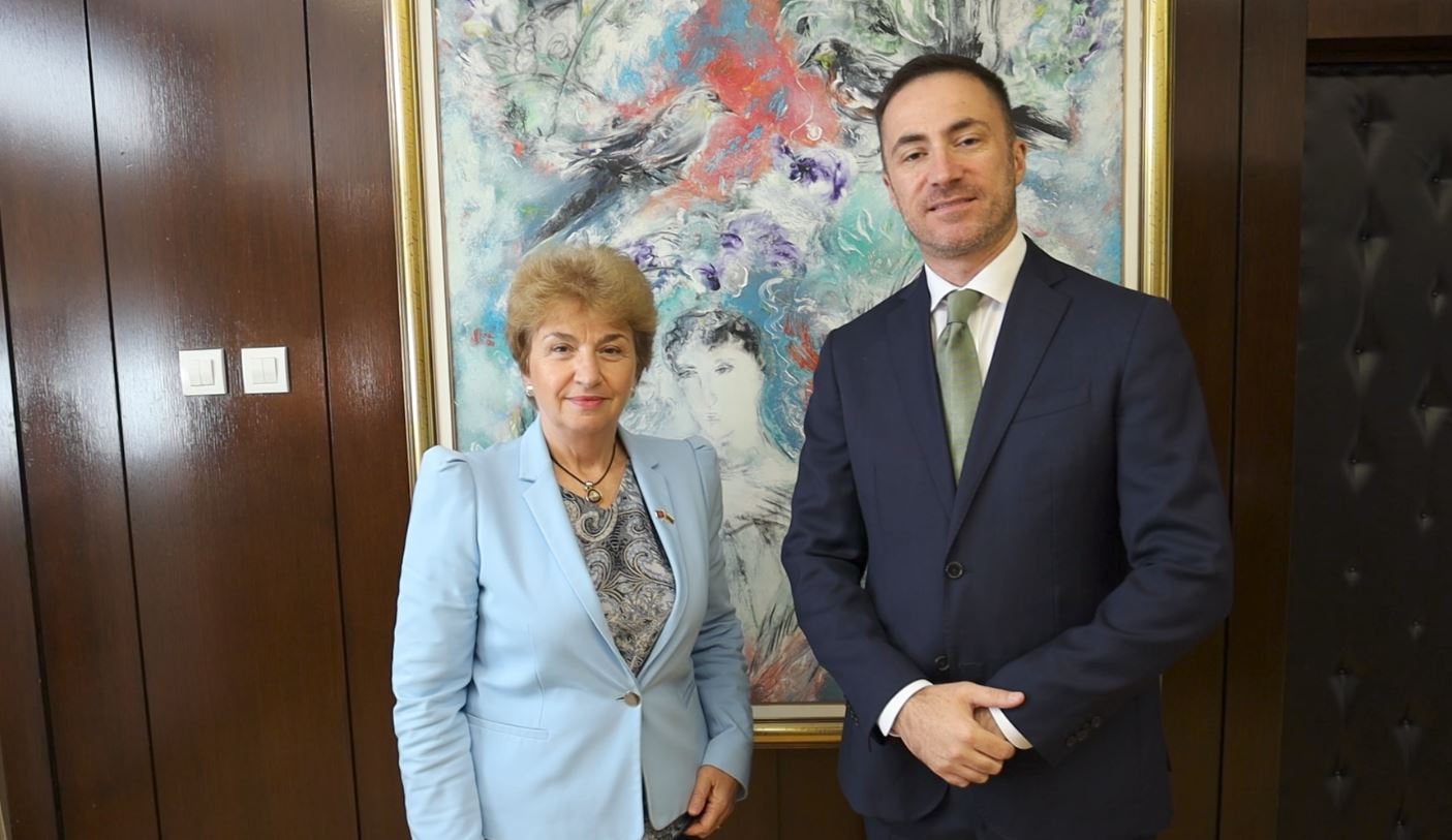Bogdanović-Plugčijeva: Potrebna stabilna proevropska, građanska i progresivna Vlada