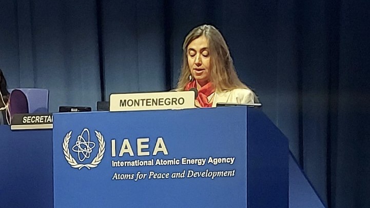 Šćepanović: Produžiti i unaprijediti saradnju između Crne Gore i IAEA