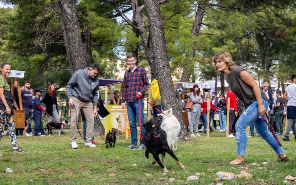 Podgorica dobila park za pse, Vuković: Jedan ovakav prostor zaista bio potreban
