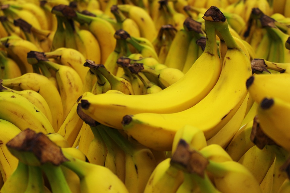 U paketima banana u Hrvatskoj pronađeno 30 kilograma kokaina, drogu pronašli radnici