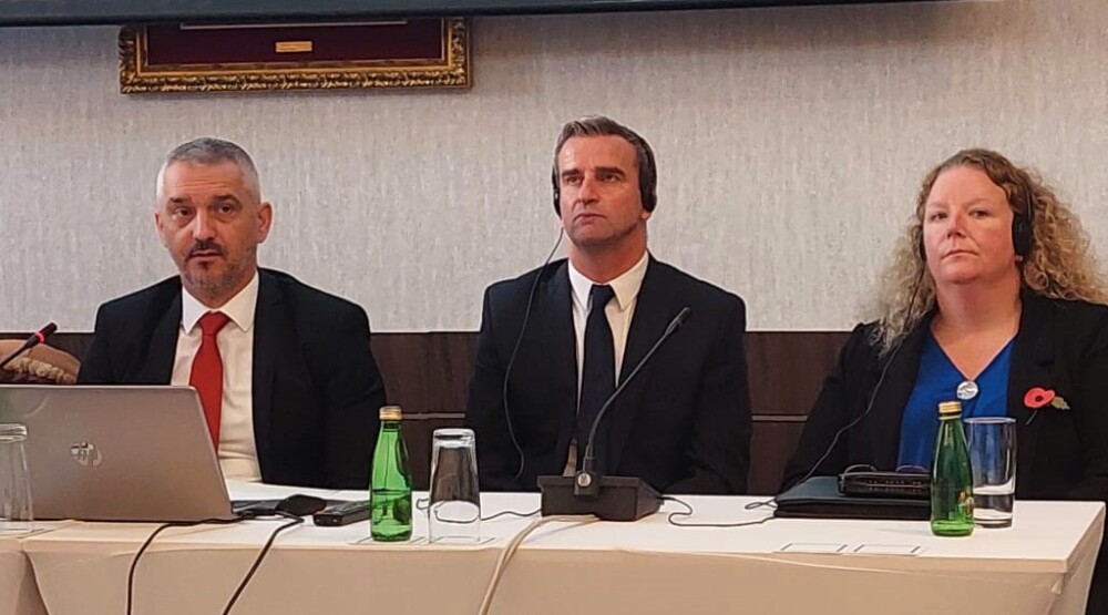 Brđanin i Pilbim: Profesionalne i stručne službe garancija u rješavanju problema eksploatacije djece i seksualnog zlostavljanja