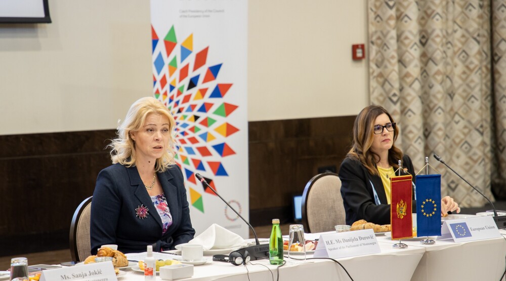 Đurović: Partije nijesu uspjele da stave evropsku integraciju iznad uskopartijskih interesa