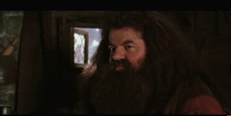 Preminuo glumac Robi Koltrejn