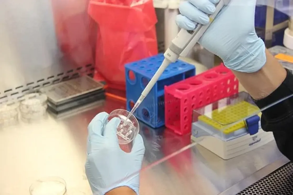 Besplatno testiranje na HIV, hepatitis B i hepatitis C: Nije potreban uput ni zdravstvena knjižica