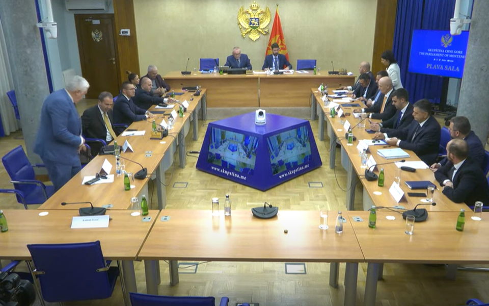 RADULOVIĆ: Biti je ili ne biti za Crnu Goru