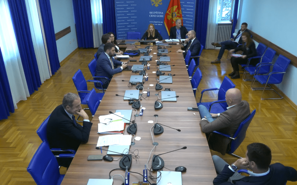 ODBOR NIJE PODRŽAO ZAKON O ZABRANI FAŠISTIČKIH ORGANIZACIJA I SIMBOLA, Popović: Crnogorske diobe došle do tačke pucanja
