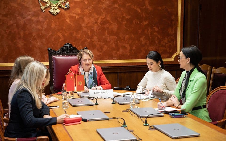 Bošnjak: Vjerujem da će dijalog na nivou parlamenta biti dodatno unaprijeđen