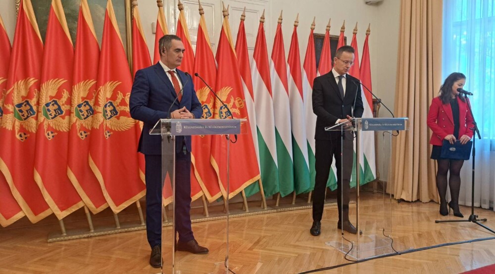 Damjanović u Budimpešti: Ogroman potencijal za razvoj ekonomskih odnosa sa Mađarskom