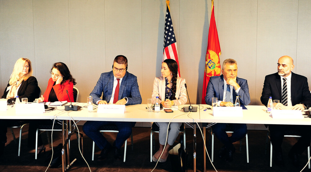 EPCG predstavila razvojne projekte američkim privrednicima