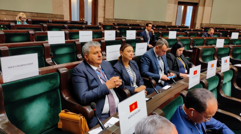 Radunović i Kordić na Parlamentarnoj skupštini OEBS-a