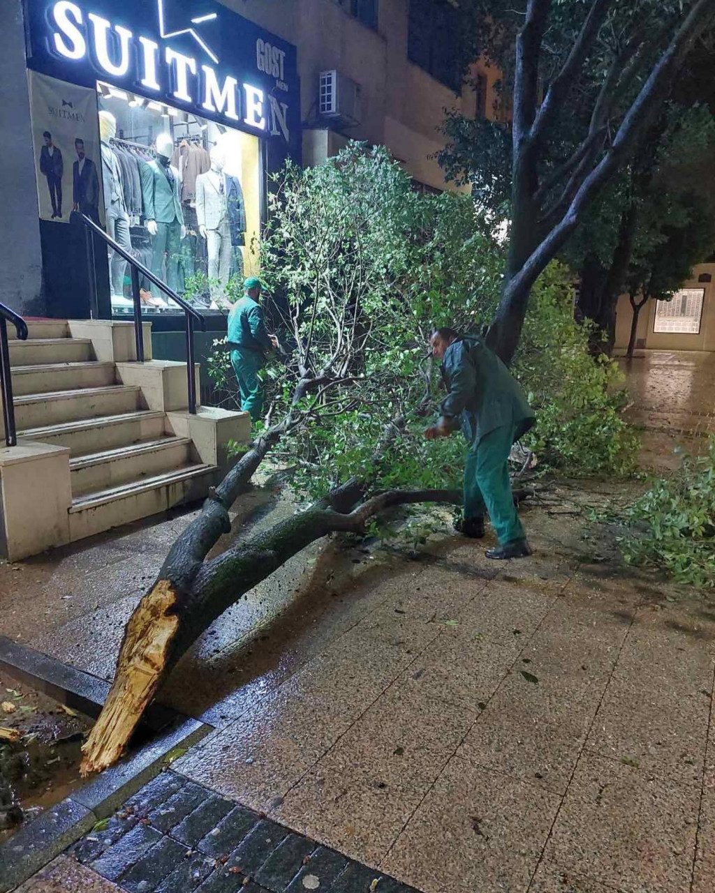 (FOTO) Nevrijeme u Crnoj Gori: Vjetar lomio drveće u Podgorici