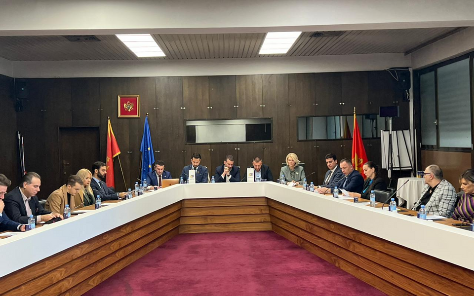 Glavni odbor Evrope sad: Bićemo ključni faktor izgradnje demokratskih institucija