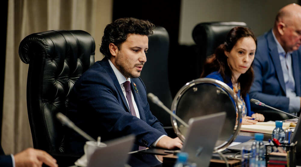 Pogledajte koja će preduzeća biti privatizovana naredne godine