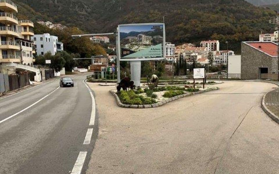 Budva: Slučaj ,,lutajućih goveda“ možda dođe do Strazbura