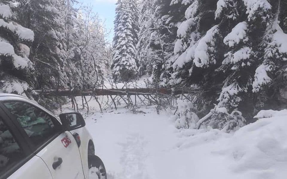 Teška situacija na sjeveru Crne Gore: U više opština nema struje, ekipe teško dolaze do trafostanica