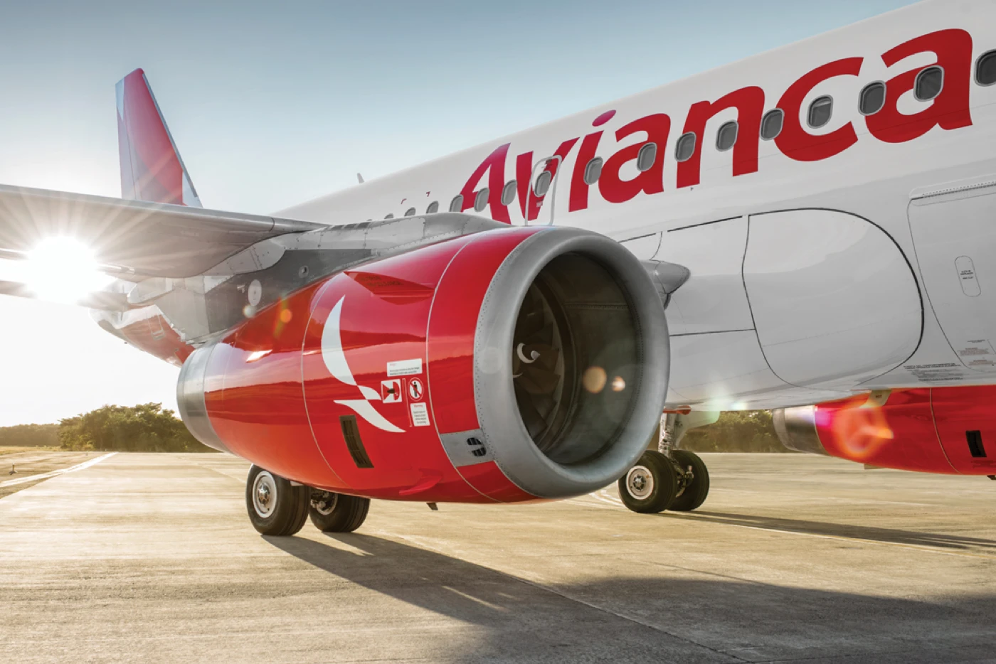Kontrolisali avion prije leta, pa u prtljagu našli leševe slijepih putnika