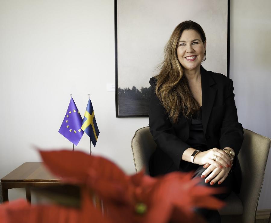 Ambasadorka Švedske: Političari da izvedu državu iz krize na odgovoran način