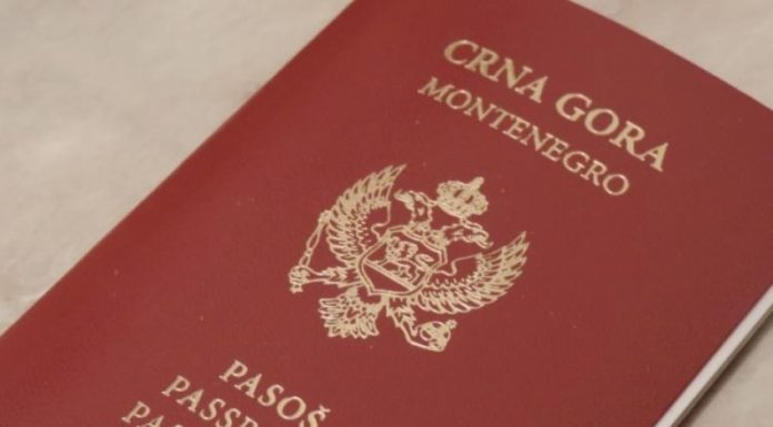 Ove osobe su dobile počasno državljanstvo Crne Gore od 2008. godine