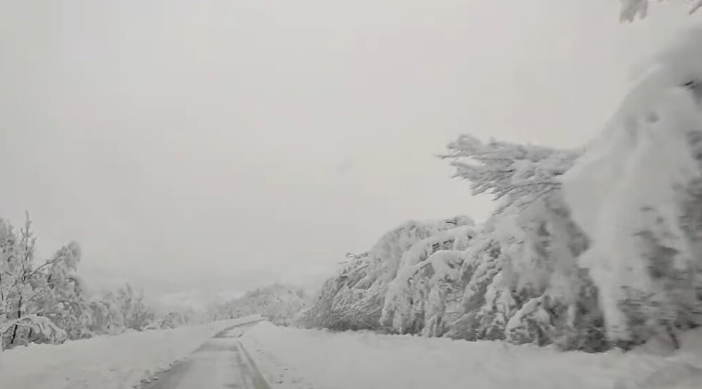 Bez struje uglavnom seoska područja: Voda prodrla u trafo-stanice, bujice oštetile stubove