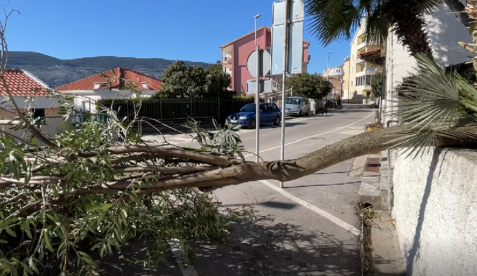 Herceg Novi: Posljedice bure na svakom koraku, inspektori popisuju štetu