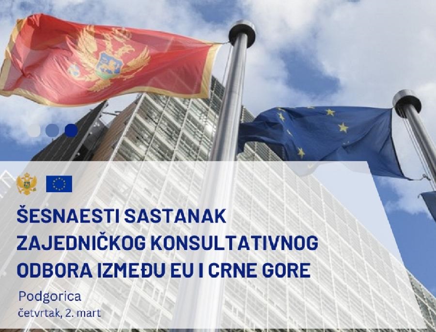 Sastanak Zajedničkog konsultativnog odbora EU i Crne Gore