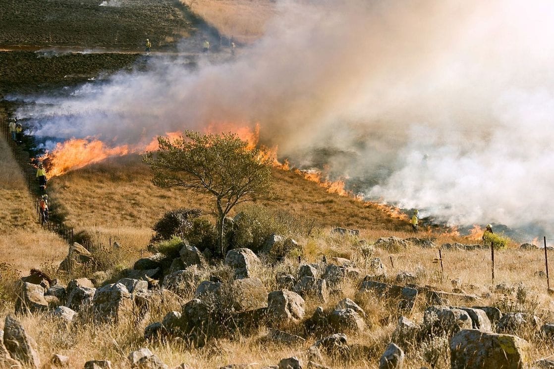 Hrvatska: Pokušao zaustaviti požar suve trave pa poginuo