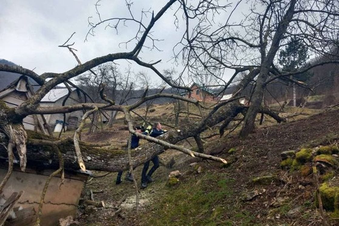 (FOTO) Mojkovac: Drvo se obrušilo i ugrozilo pomoćni objekat