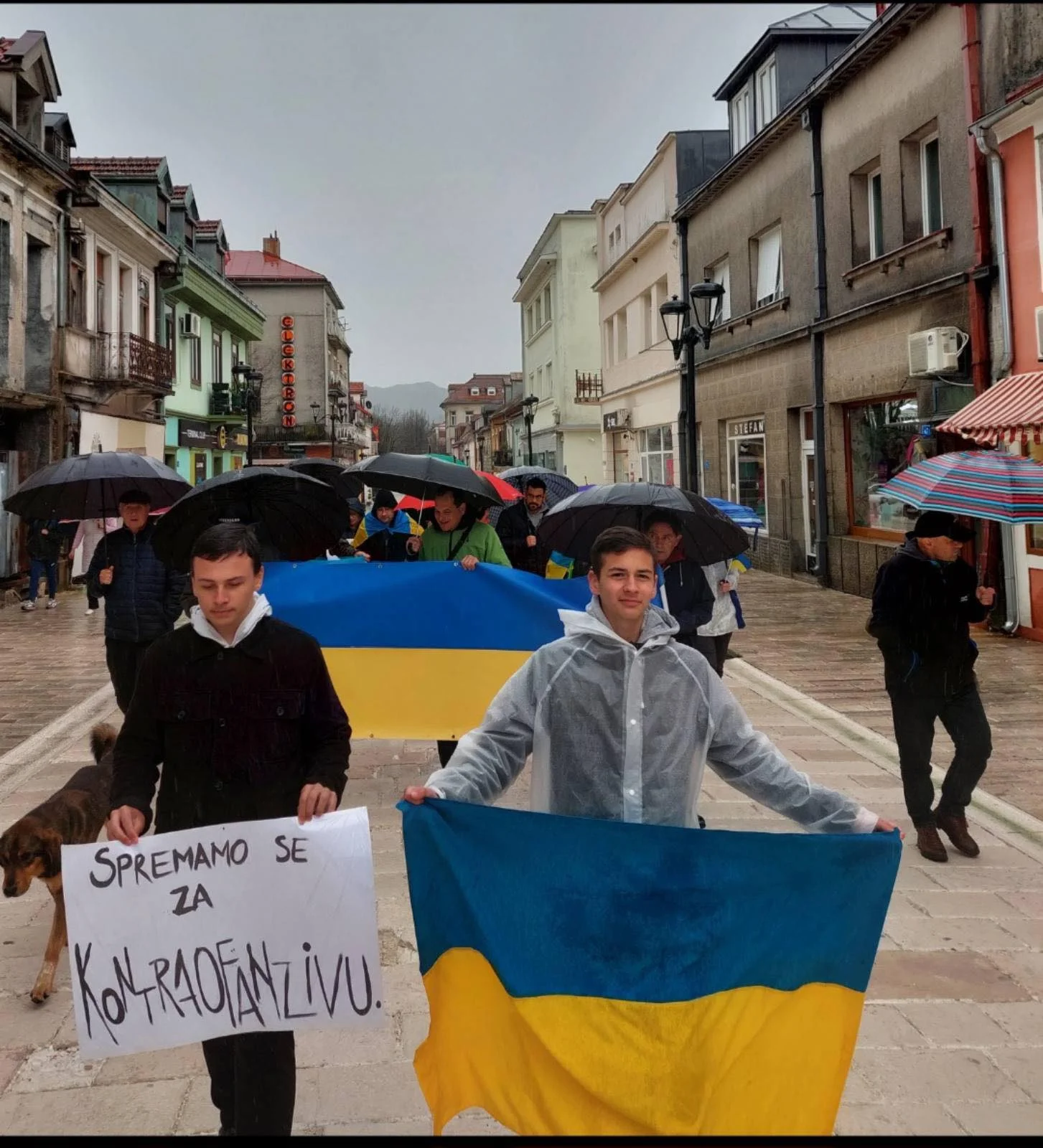 Sa šetnje za Ukrajinu sa Cetinja poručeno: Spremamo se za kontraofanzivu