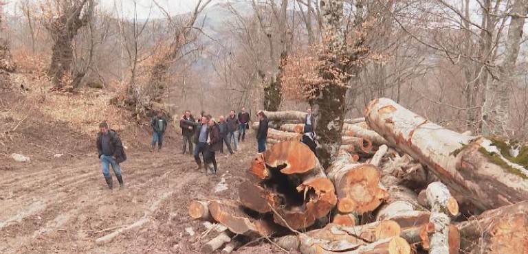 Spriječena sječa šuma i devastacija iznad Konjuha