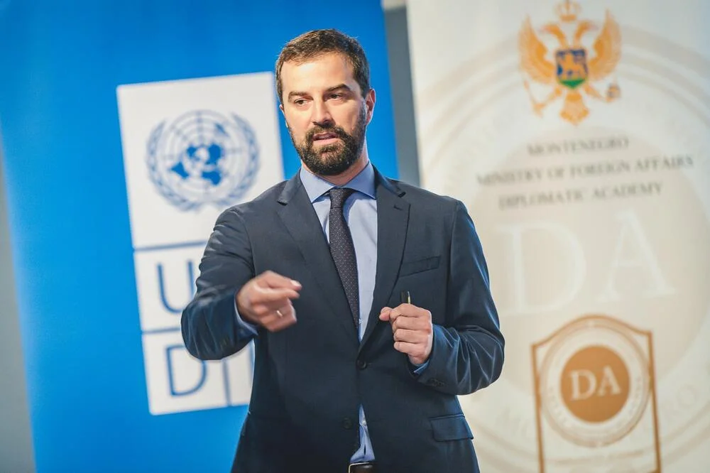 Spajanje sistema Švajcarske i Singapura u Crnoj Gori bio bi opasan eksperiment