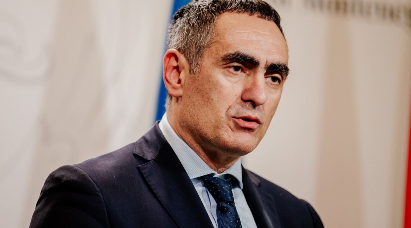 Damjanović: Osim političkog, nema drugog razloga za odlaganje popisa