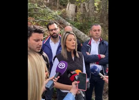 Abazović: Biće drastično kažnjen onaj ko bude devastirao šume, krčenjem pričinjena šteta veća od milijardu eura