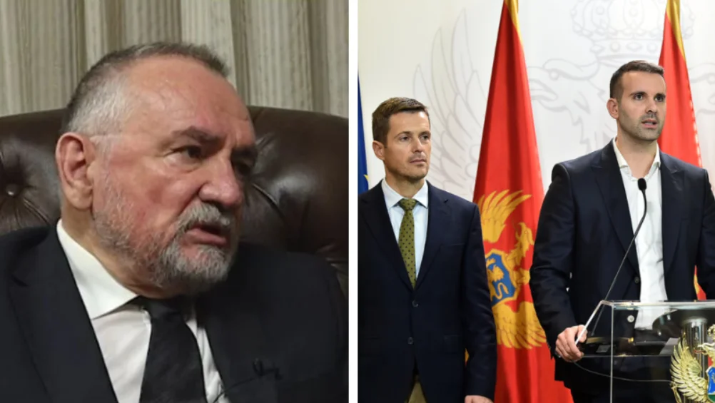 Radulović: Prodaja makar i jedne akcije EPCG je izdaja Crne Gore
